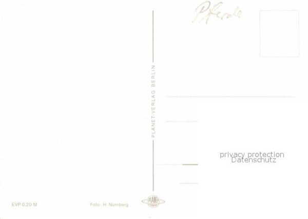 Pferde – Bild 2