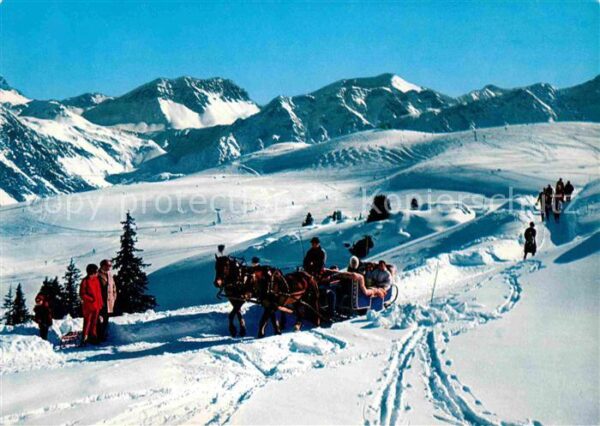 Pferdeschlitten Arosa Arlenwaldstrasse