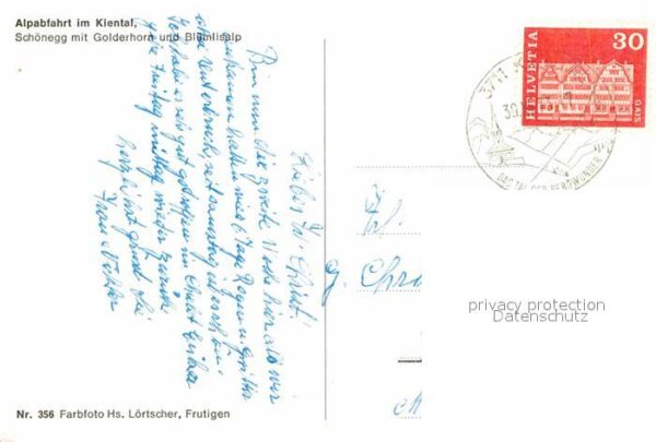 Kuehe Alpabfahrt Kiental Schönegg Golderhorn – Bild 2