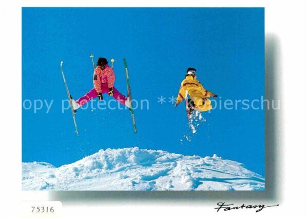 Skisport
