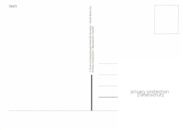 Skisport Snowboard – Bild 2