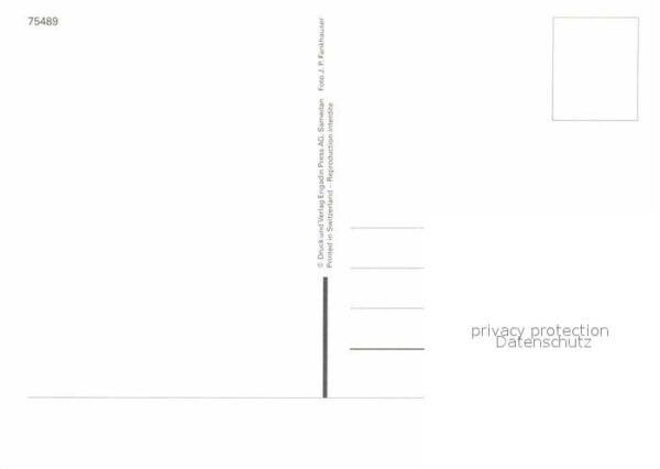 Skisport Snowboard – Bild 2