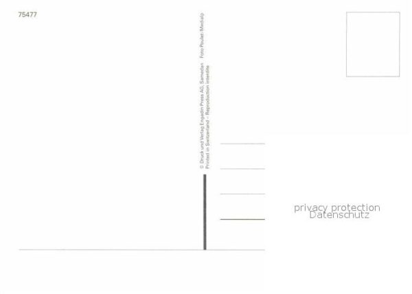 Skisport Snowboarden – Bild 2
