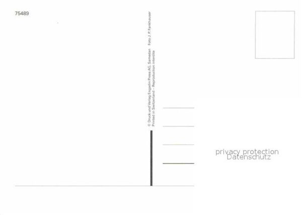 Skisport Snowboard – Bild 2