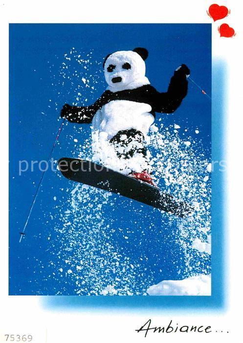 Skisport Monoski Pandabär