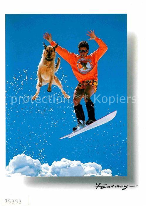 Skisport Surf Hund