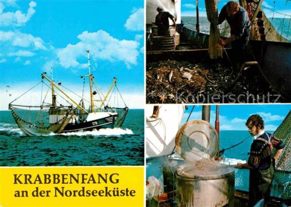 Fischerei Krabbenfang Nordseeküste