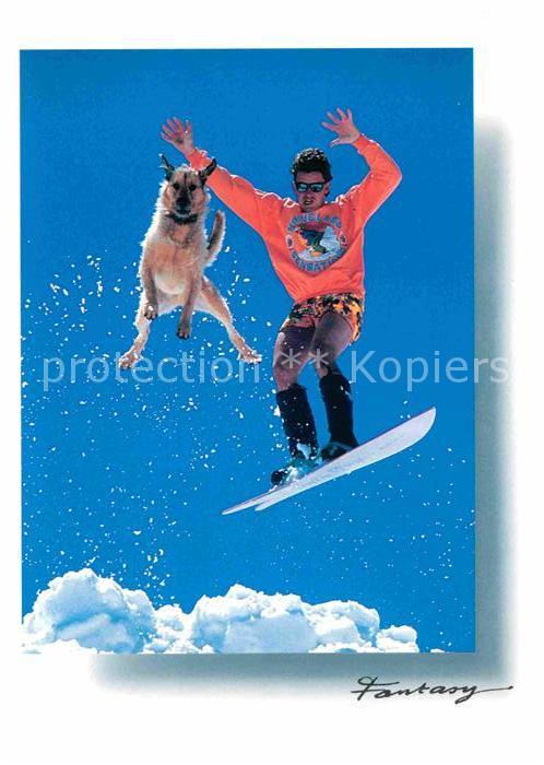 Wintersport Surf Hund