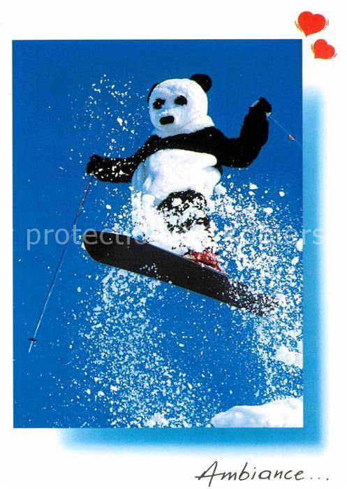 Wintersport Monoski Pandabär