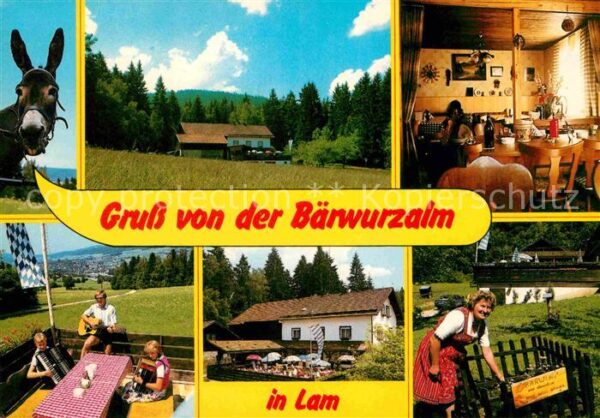 Lam Oberpfalz Bärwurzalm Esel Harmonika
