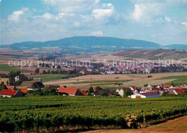 Einselthum Panorama