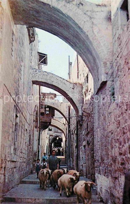 Jerusalem Yerushalayim Via Dolores