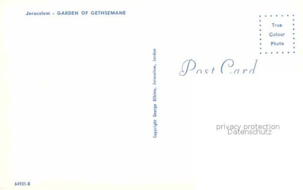 Jerusalem Yerushalayim Garden of Gethsemane – Bild 2