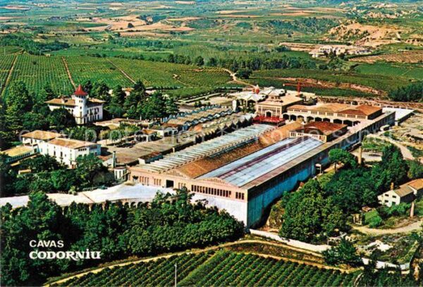 Cavas Codorniu Fliegeraufnahme