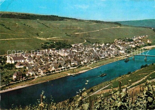 Reil Mosel Panorama