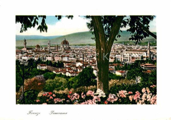 Firenze Florenz Panorama