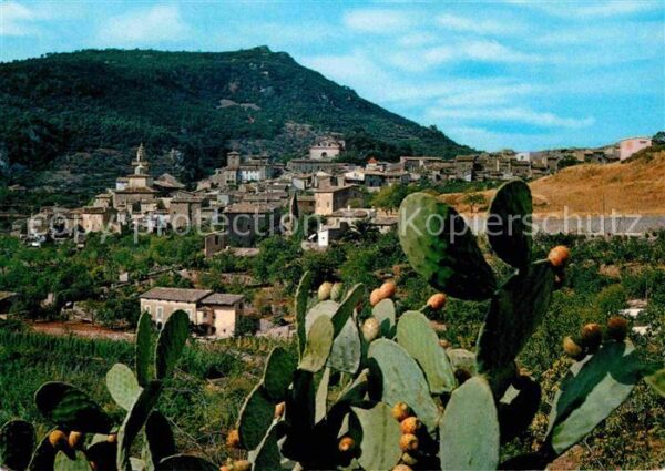 Valldemosa Panorama