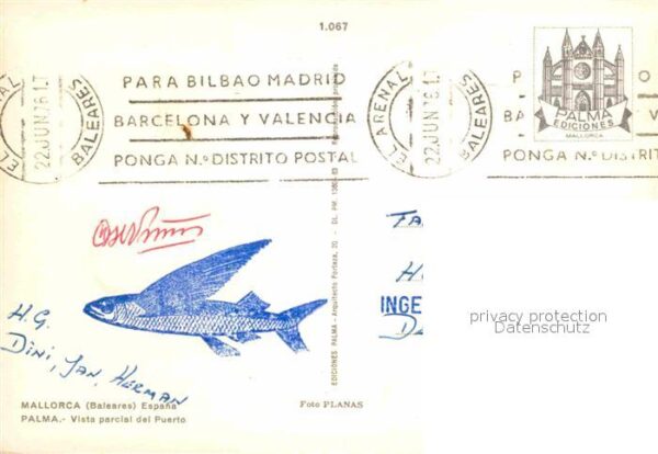 Palma de Mallorca Vista parcial del Puerto – Bild 2