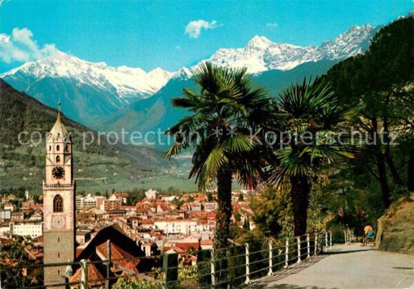 Meran Merano Tappeinerweg Palmen Kirche Texelgruppe