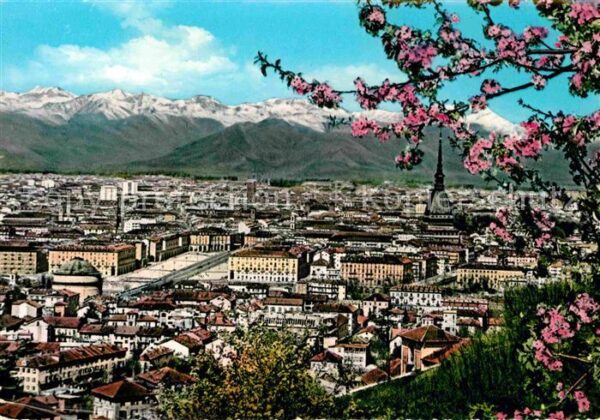 Torino Panorama Baumblüte Alpen
