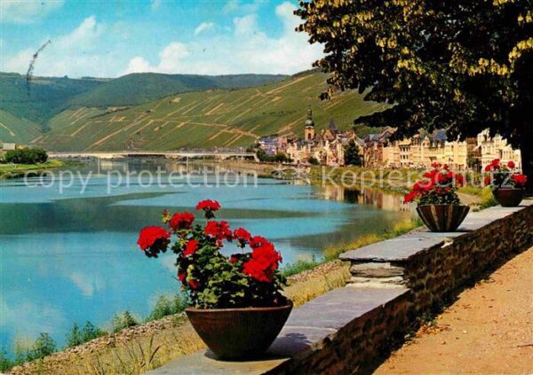 Zell Mosel Uferpartie am Fluss Promenade
