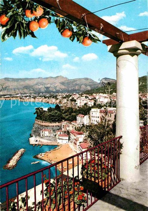 Sorrento Campania Panorama Küste Zitrusbaum