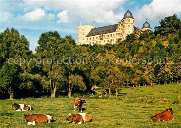 Weselsburg Bueren Bergschloss Viehweide Kühe
