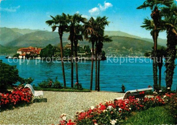 Isola Bella Lago Maggiore Uferpartie am See Palmen