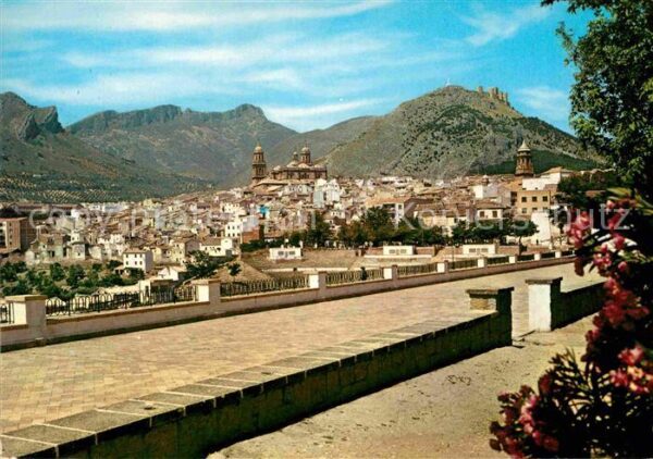 Jaen Vista parcial desde la Alameda de Calvo