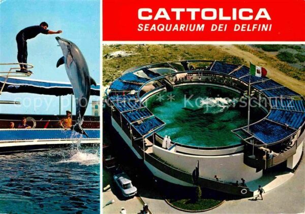 Cattolica Rimini Delphin Seaquarium