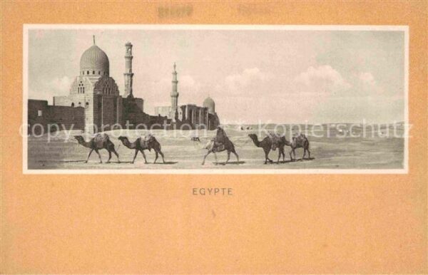Egypte Kamele Serie X No 13