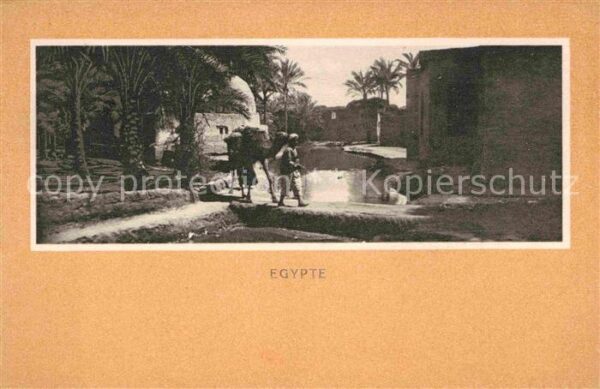 Egypte Dorfpartie Kamel Serie X No 10