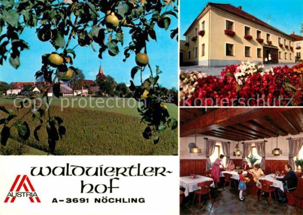 Noechling Gasthof Waldviertlerhof Obstbaum