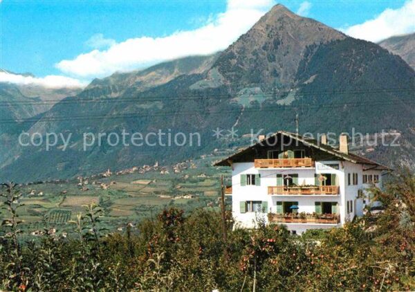 Schenna Meran Garni Hotel Mösslheim Alpen