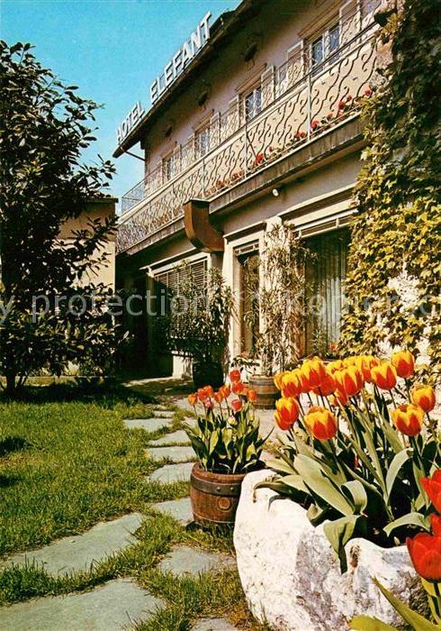 Auer Ora Suedtirol Hotel Elefant Partie im Garten Tulpen
