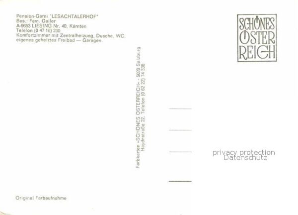 Liesing Kaernten Pension Garni Lesachtalerhof Panorama A – Bild 2