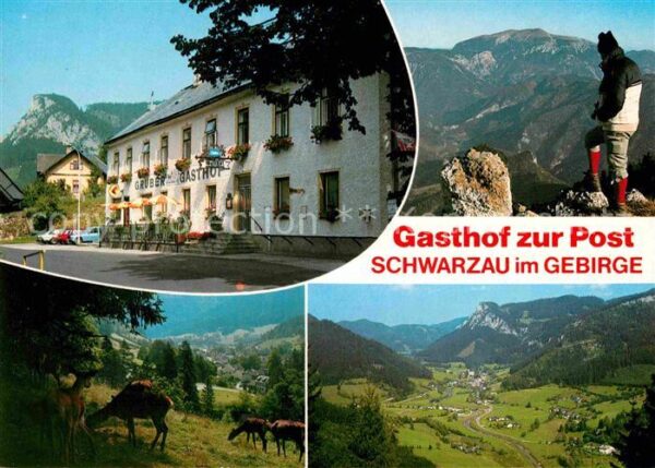 Schwarzau Gebirge Gasthof zur Post Bergwandern Alpenpanor