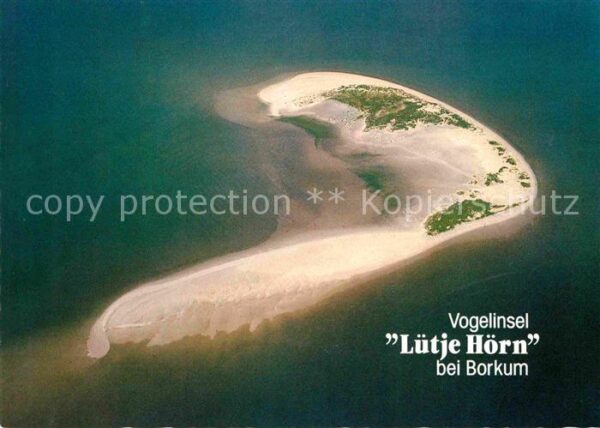 Borkum Fliegeraufnahme Lütje Horn Vogelinsel