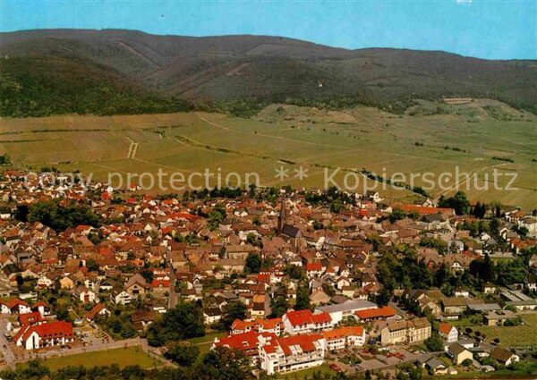 Deidesheim Fliegeraufnahme
