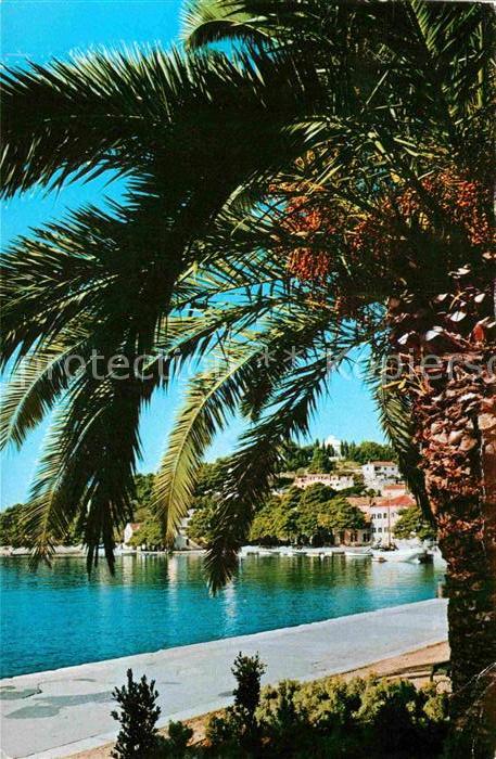 Cavtat Dalmatien Teilansicht