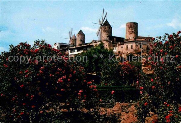 Palma de Mallorca Molinos del Jonquet