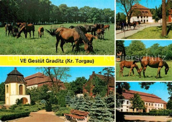 Graditz VE Pferde-Gestüt