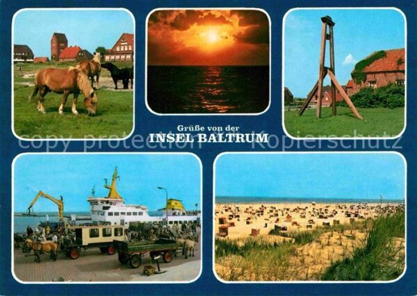 Baltrum Nordseebad Strand Hafen Pferde