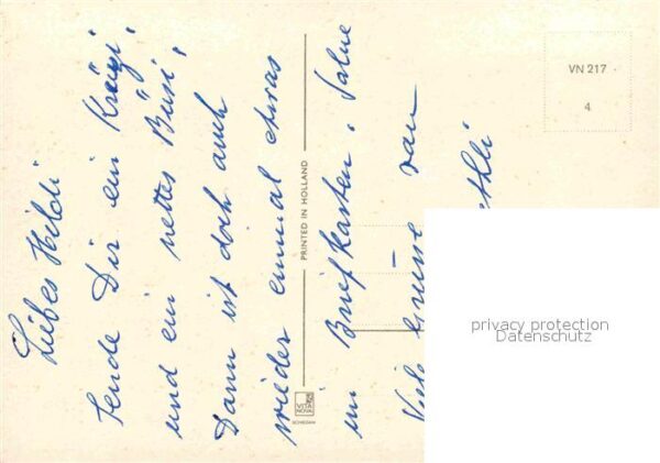 Katzen – Bild 2