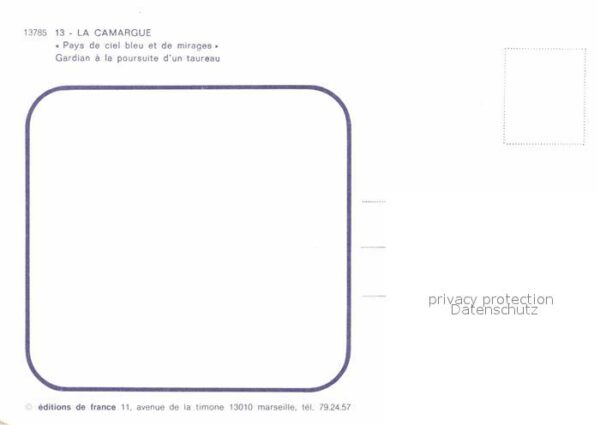 Pferde Camargue Gardian Poursuite Taureau – Bild 2