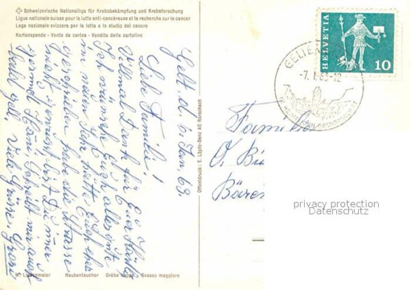 Voegel Haubentaucher W. Linsenmaier Spendenkar – Bild 2