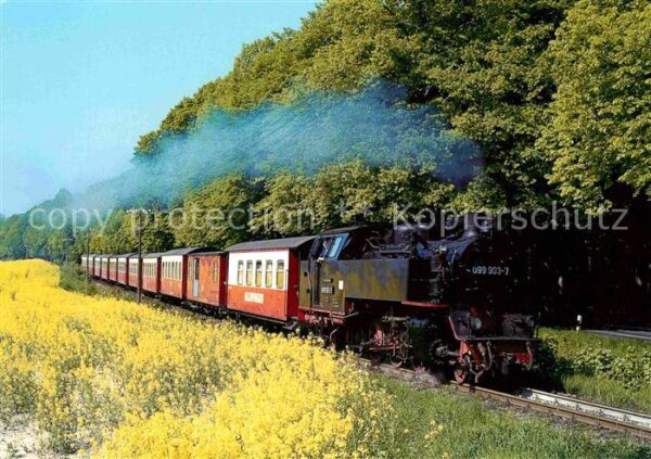 Lokomotive Schmalspurbahn Molli