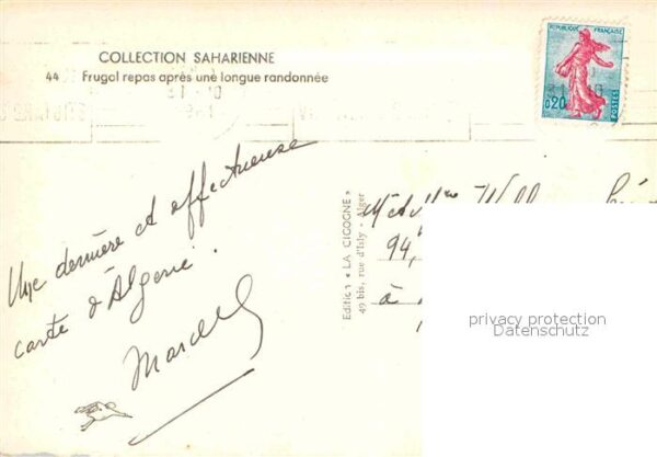 Kamel  Camel Chameau Frugal Repas Randonnee Algerie – Bild 2