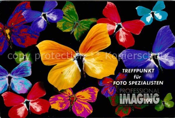 Schmetterlinge Werbung Fachmesse für Fotografie