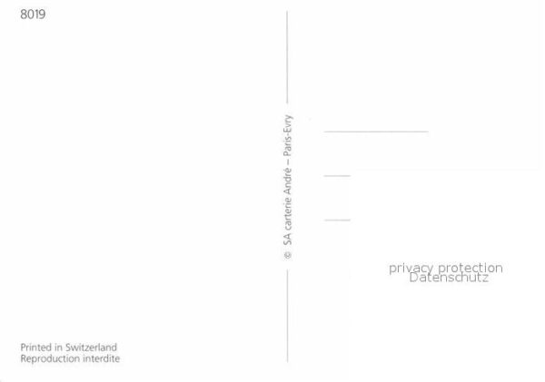 Pferde – Bild 2